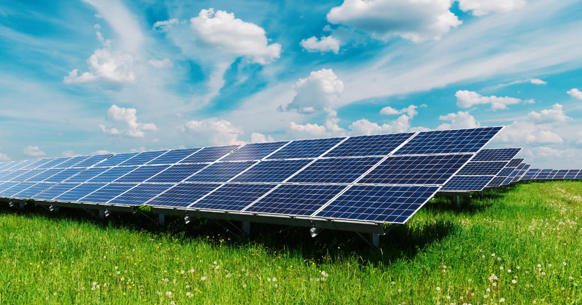 impianto agrivoltaico - pannelli fotovoltaici